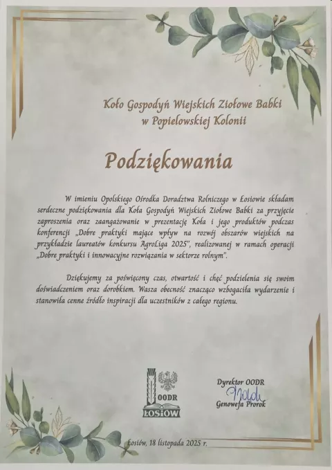 AgroLiga 2025 24.11.2025