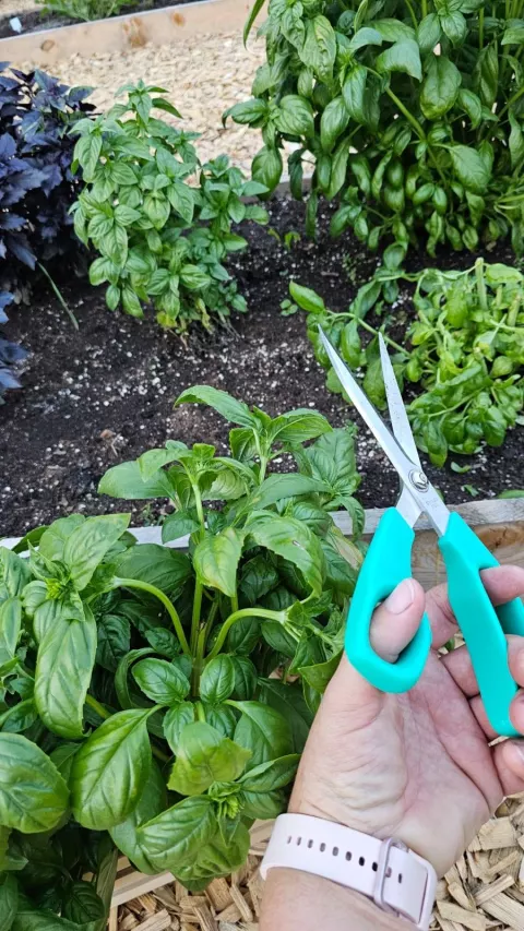 Aktualności z dnia 28.08.2025