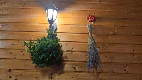 Aktualności z dnia 28.08.2025